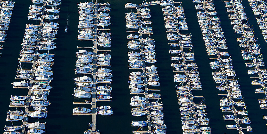 Aerial View of Yachts in a Marina, Seattle, Washington, US