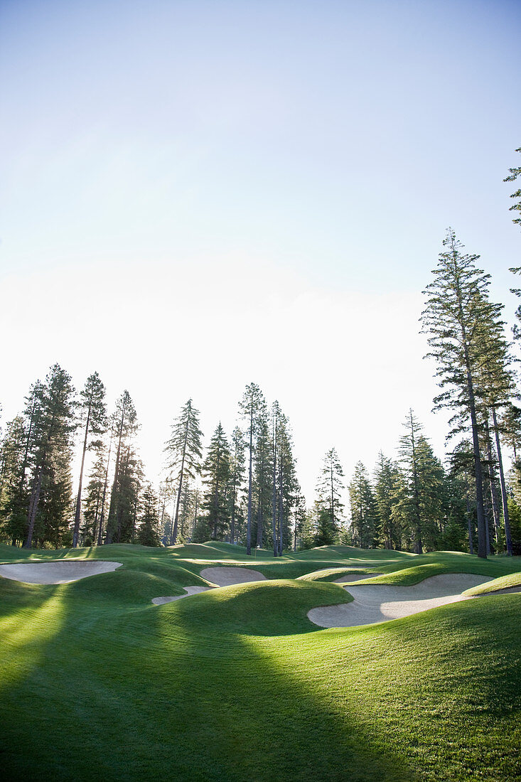 Trees surrounding golf course with sandtraps, Cle Elum, Washington, USA