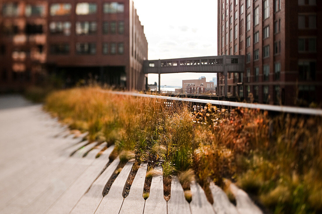 The High Line Park, New York, USA