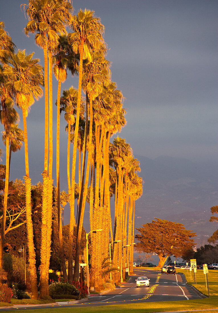Straße bei Sonnenuntergang mit Palmen, Santa Barbara, Kalifornien, USA