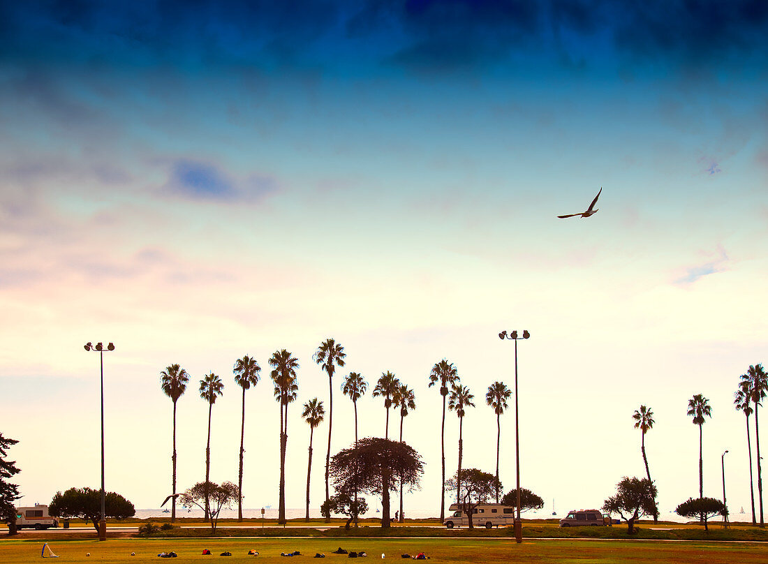 Palmenbäume säumen den Strand, Santa Barbara, Kalifornien, USA