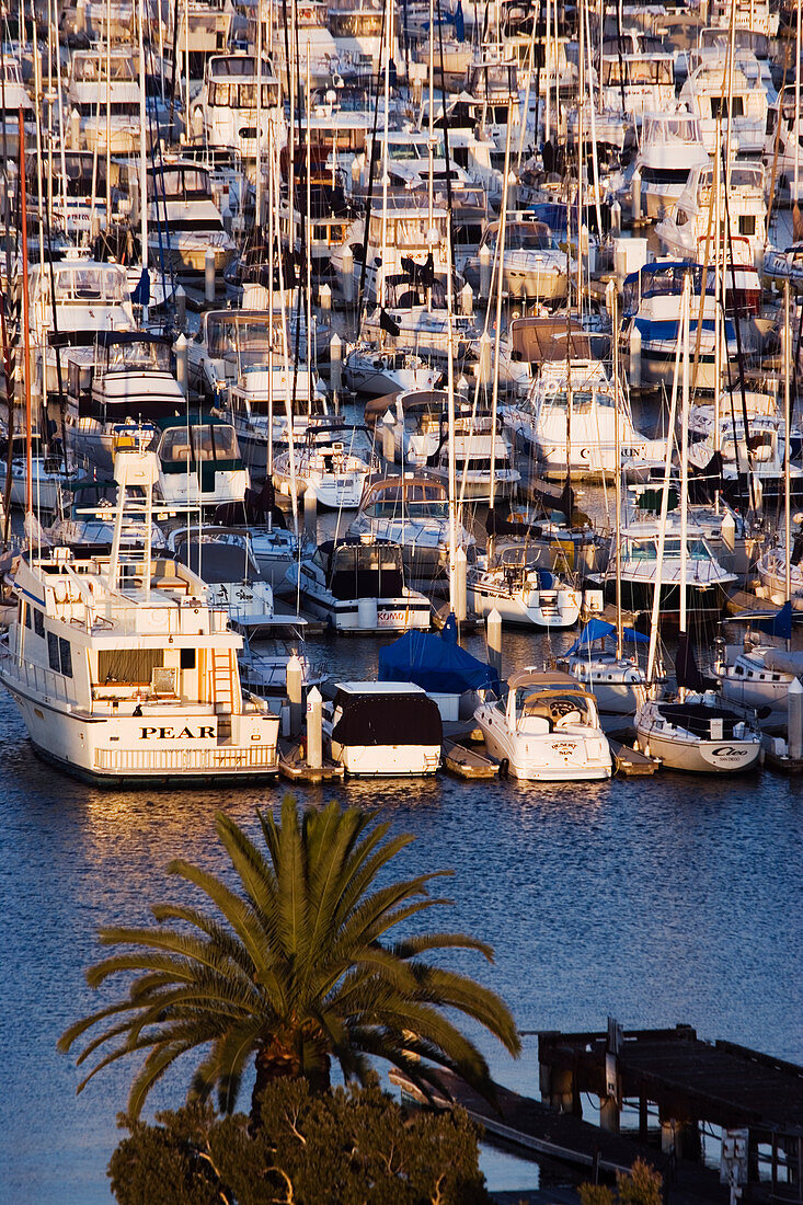 Marina, San Diego, California, USA