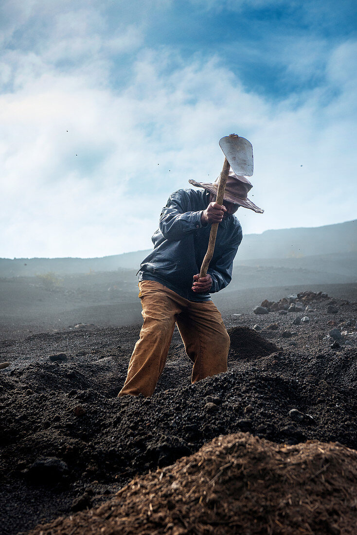 Landwirtschaft in den Lavafeldern der Insel Fogo, Nähe Dorf Cha im Nationalpark Fogo, Kap Verde