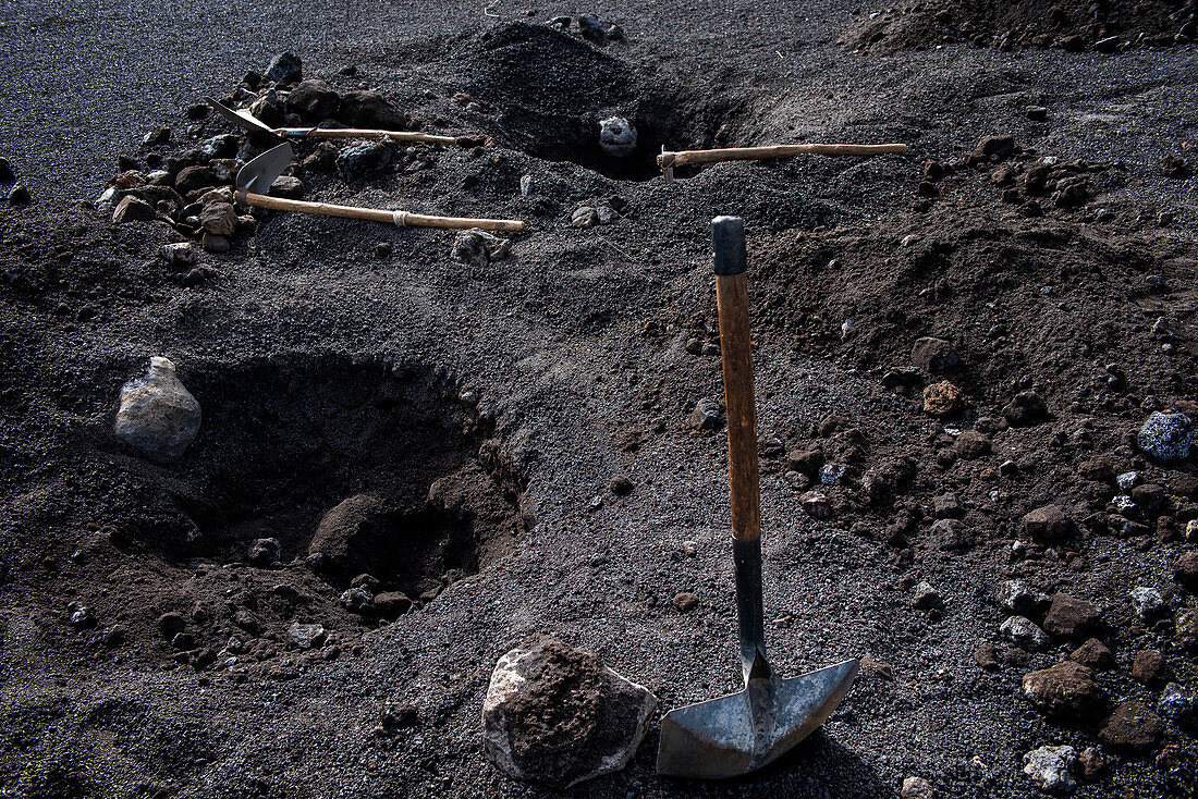 Landwirtschaft in den Lavafeldern der Insel Fogo, Nähe Dorf Cha im Nationalpark Fogo, Kap Verde