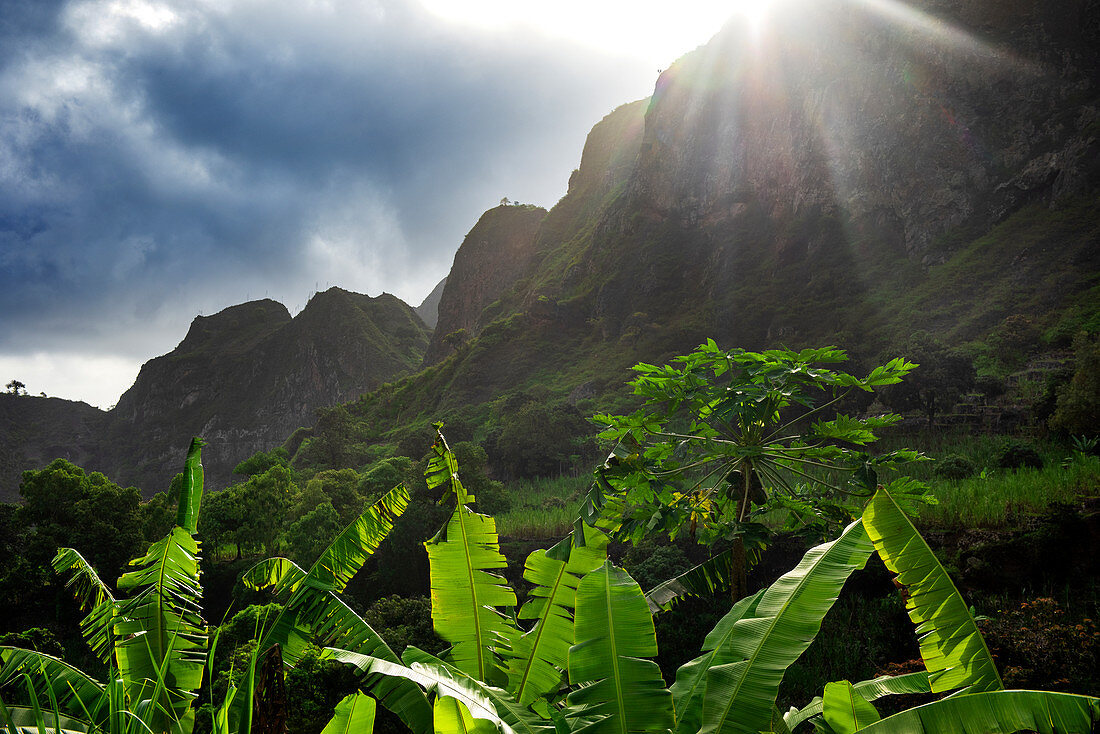 Cape Verde, Island Santo Antao, landscapes, mountains, green valley,banana leafs