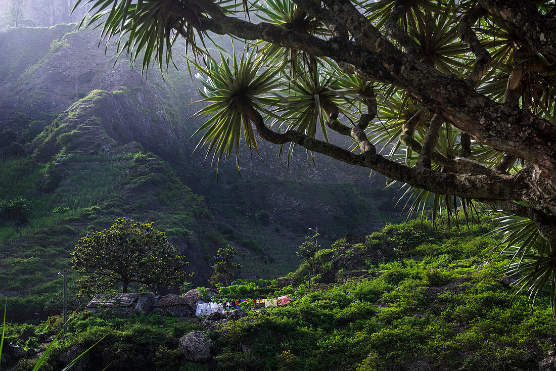 Kap Verde, Insel Santo Antao, Landschaft mit traditionellen Häusern
