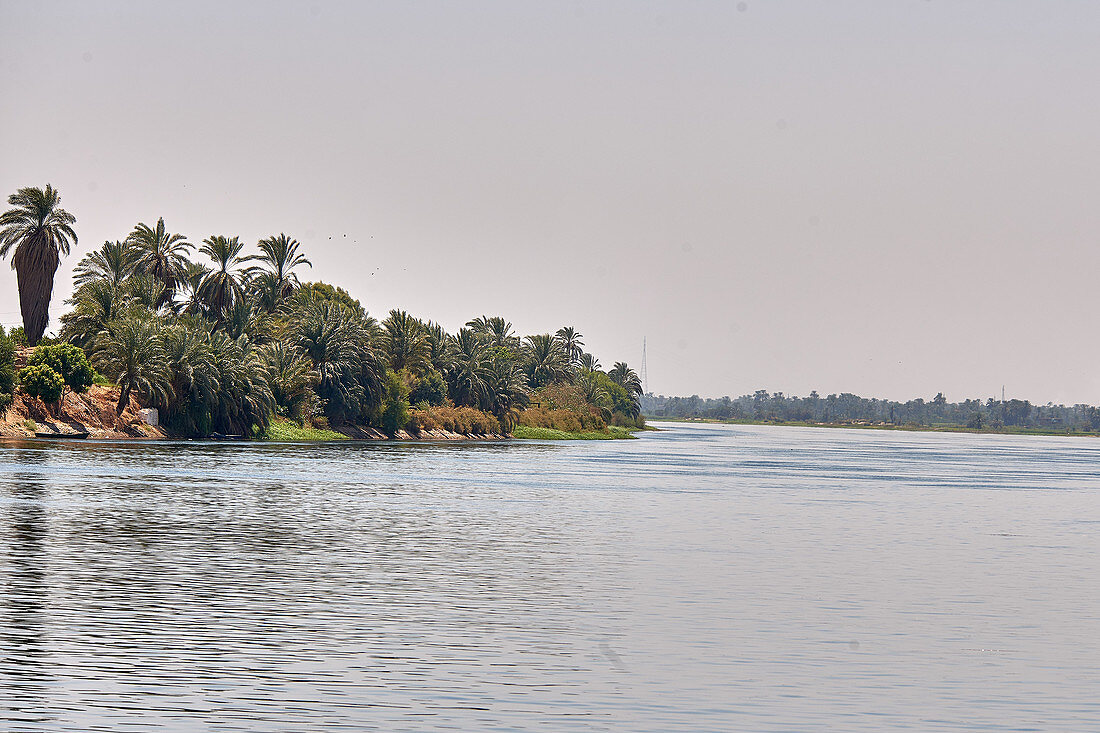 Der Nil mit Palmen am Ufer im oberen Ägypten