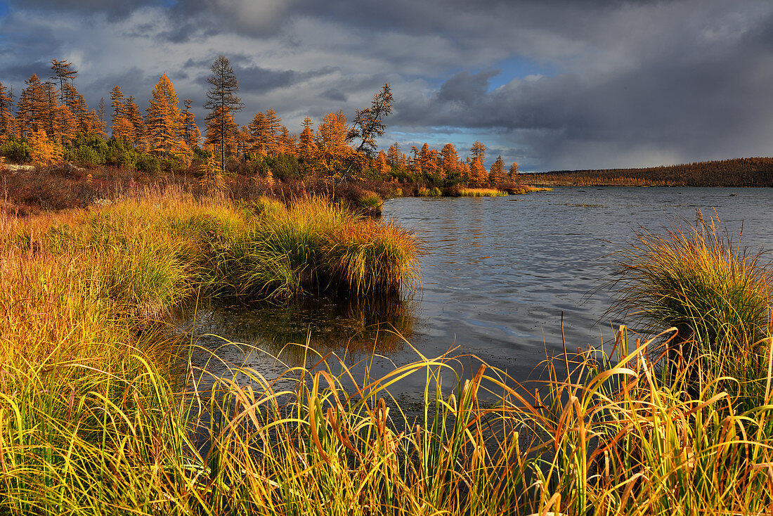 Storm clouds on lake Jack London, Magadan region, Russia