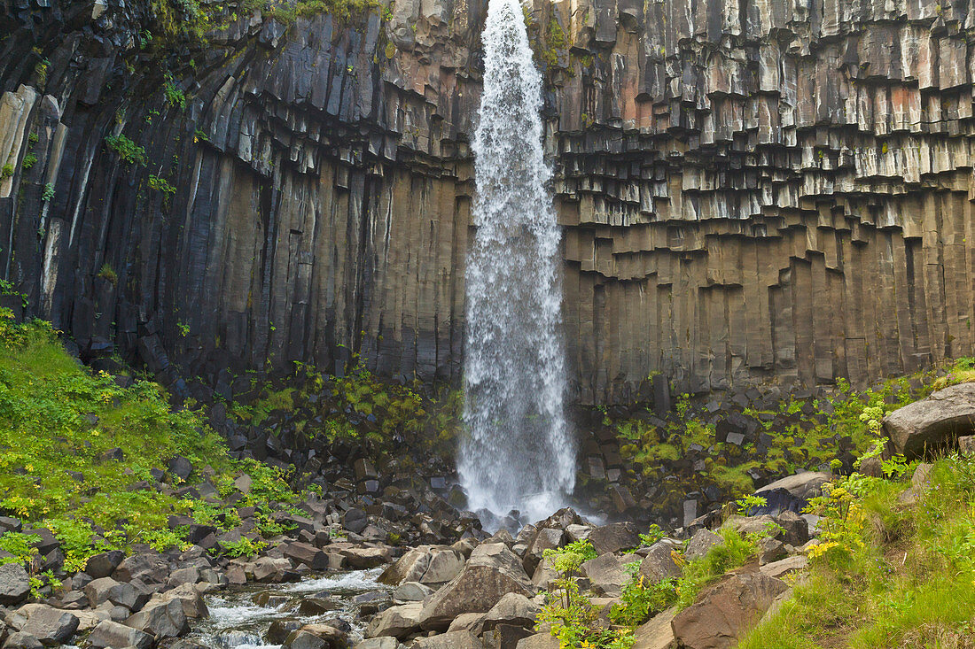 Wasserfall und Basaltsäulen, Svartifoss-Wasserfall, Nationalpark Skaftafell, Island
