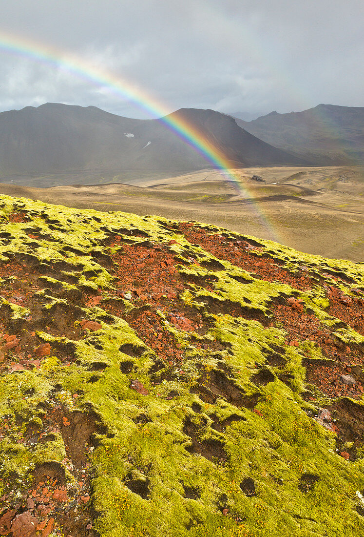 Regenbogen über Lavafeldern, Nationalpark Snaefellsjoekull, Snaefellsnes-Halbinsel, Island