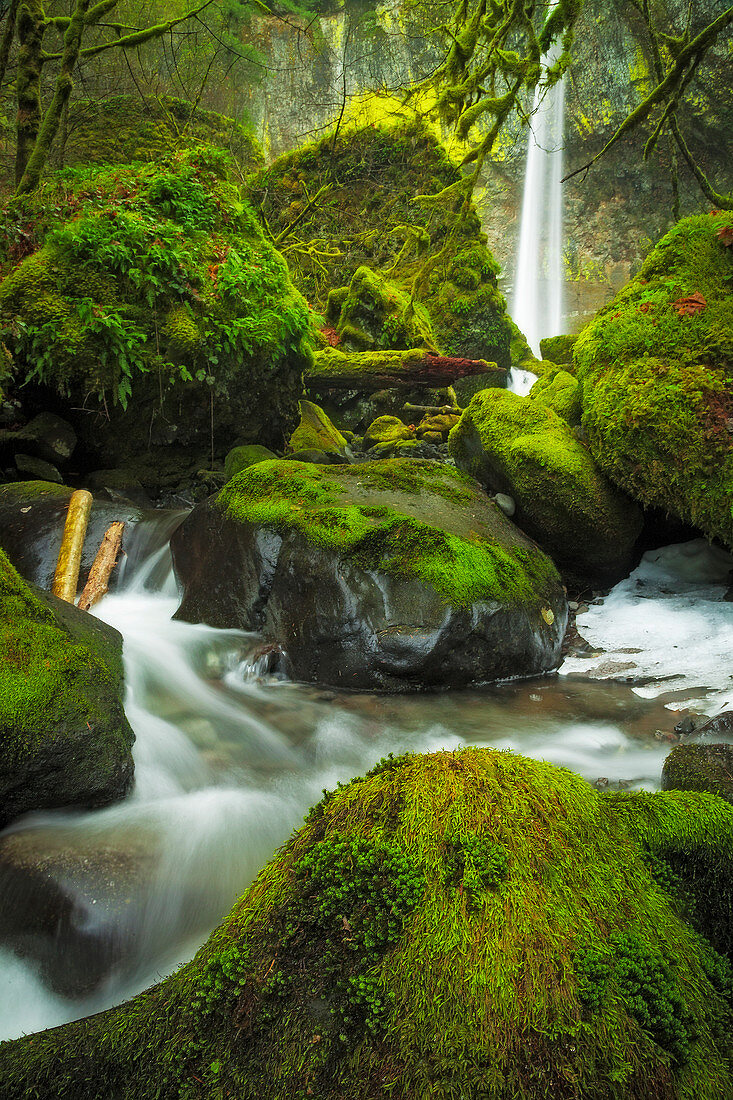 Fluss und moosbedeckte Flusssteine, Elowah Falls, Columbia River Gorge, Oregon