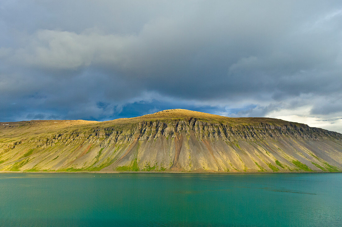 Küstenlinie mit Basaltsäulen, Westfjorde, Island