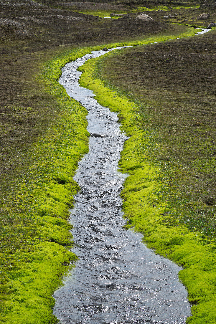 Bach in der Tundra, Vatnajokull Nationalpark, Island