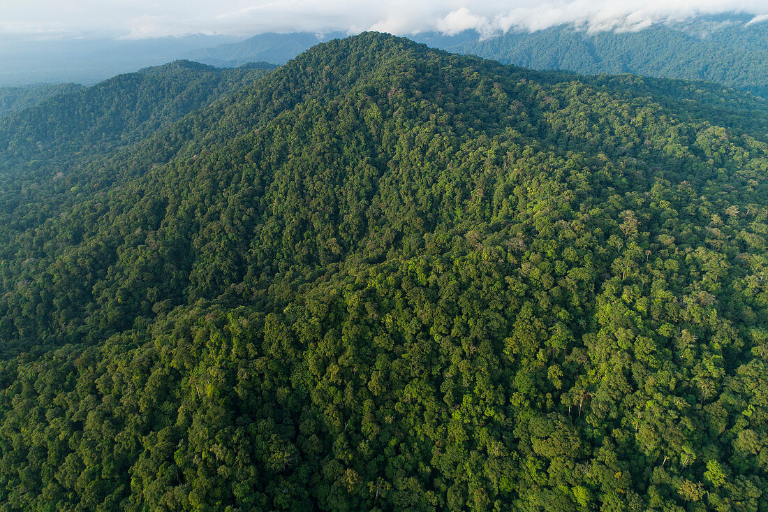 Berge und Chocó Regenwald, Nationalpark Utria, Kolumbien