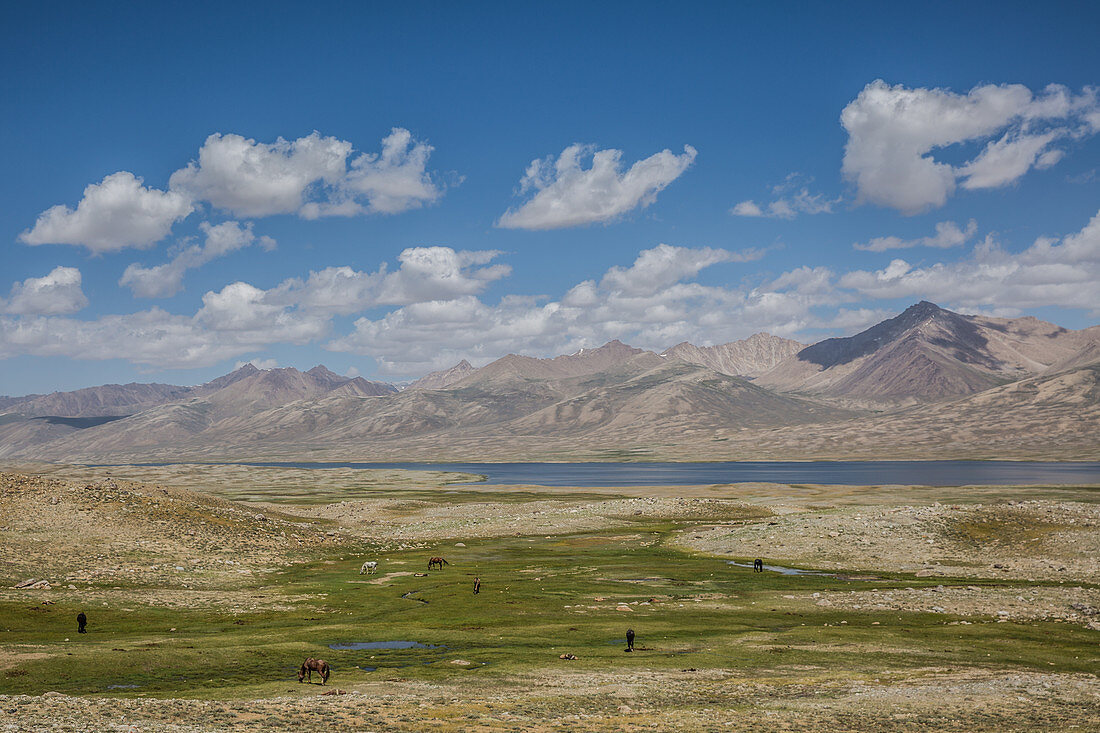 Lake Zorkul, border Afghanistan and Tajikistan, Pamir, Asia