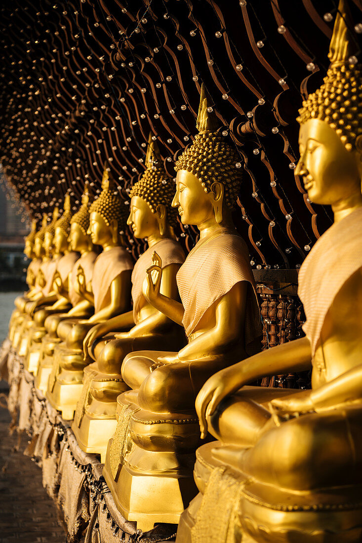 Buddha statues, Seema Malakaya Temple, Colombo, Western Province, Sri Lanka, Asia