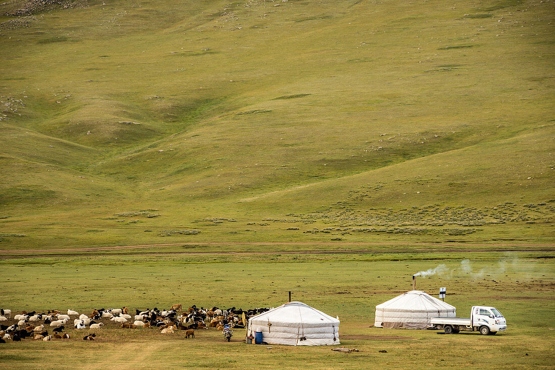 Nomadisches Hirtenlager auf Steppenwiese der Mongolei, Asien
