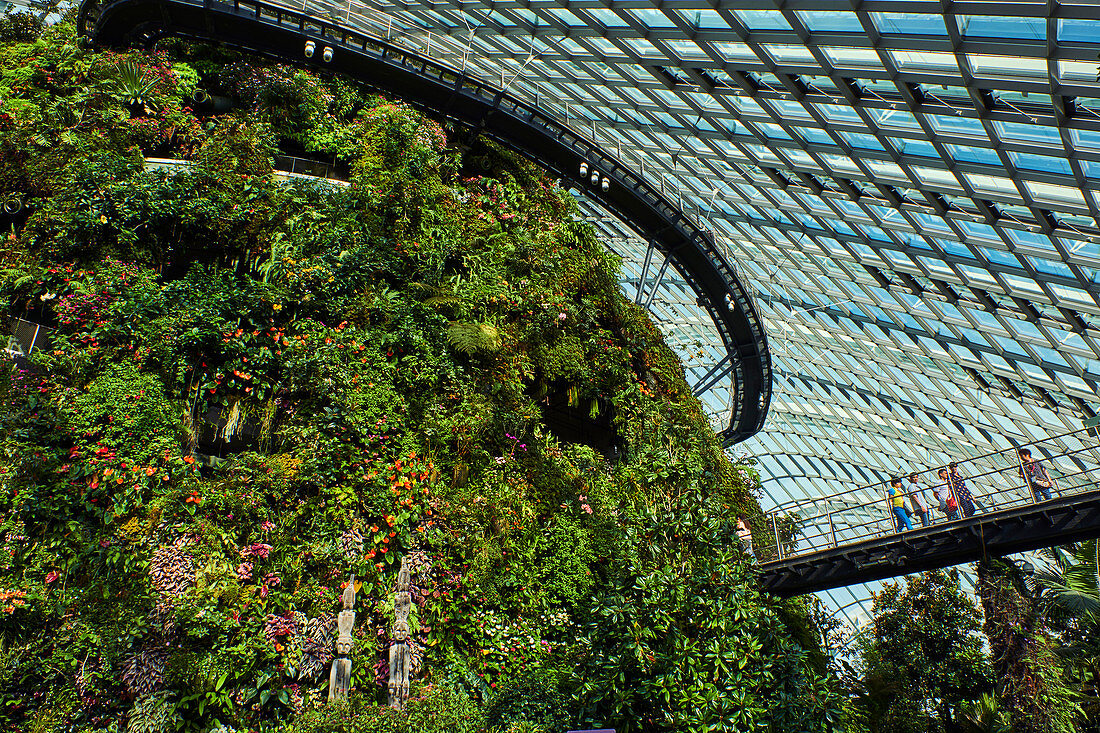 Garden By the Bay, Cloud Forest, botanic garden, the highest artificial waterfall in the world, Marina Bay, Singapore, Southeast Asia, Asia