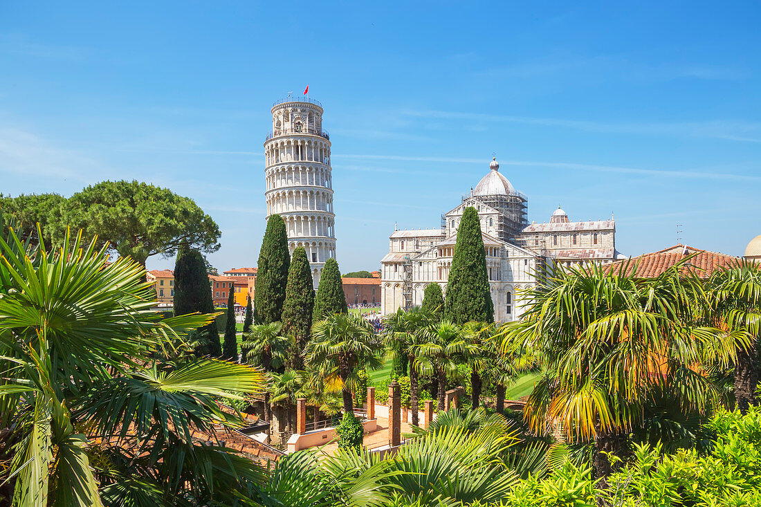 Schiefer Turm, Campo dei Miracoli, UNESCO-Welterbestätte, Pisa, Toskana, Italien, Europa