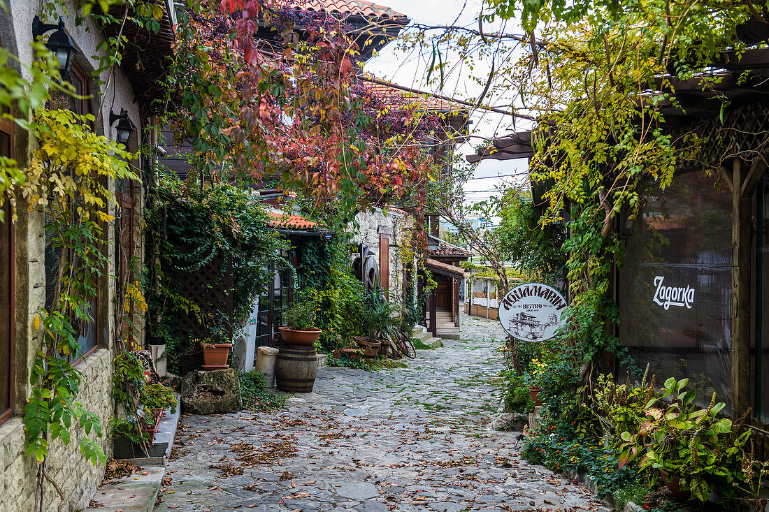 Herbstlaub, Nessebar, UNESCO-Welterbestätte, Bulgarien, Europa