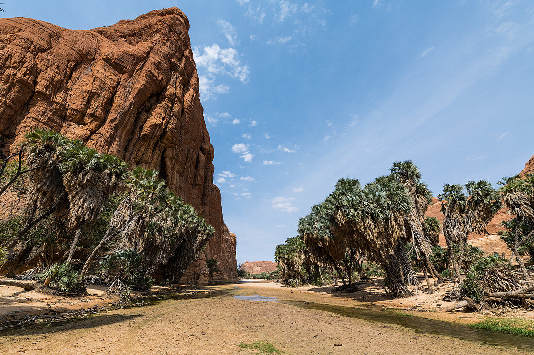 Wasserloch, Ennedi-Hochebene, UNESCO-Welterbestätte, Ennedi-Region, Tschad, Afrika