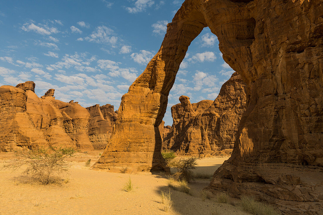 Elefanten-Felsenbogen, Ennedi-Hochebene, UNESCO-Welterbestätte, Ennedi-Region, Tschad, Afrika