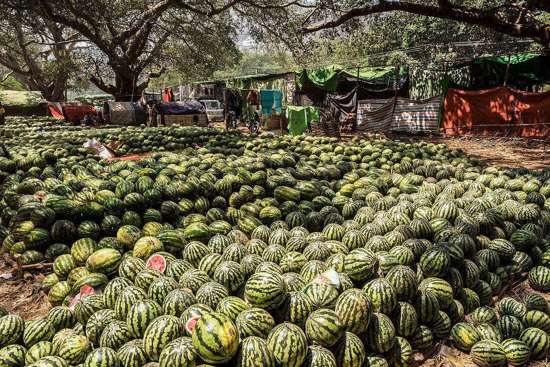 Wassermelonen, Pindaya, Shan State, Myanmar (Birma), Asien