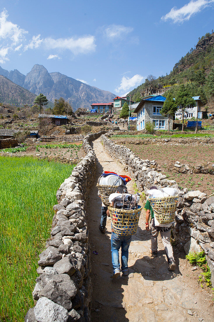 Porters are carrying heavy loads on the way to Namche Bazar, a village along the Everest Base Camp trek in the Nepalese Himalaya. The trek to Everest Base Camp (EBC) is possibly the most dramatic and picturesque in the Nepalese Himalaya. Not only will you stand face to face with Mount Everest, Sagarmatha in Nepali language, at 8,848 m (29,029 ft), but you will be following in the footsteps of great mountaineers like Edmund Hillary and Tenzing Norgay. The trek is scenic and offers ever-changing Himalayan scenery through forests, hills and quaint villages. A great sense of anticipation builds as