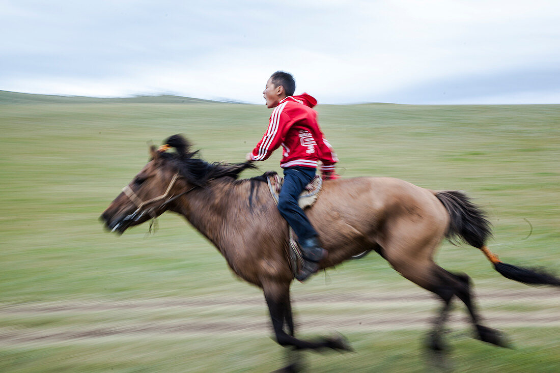 Junger Reiter beim Pferderennen, Naadam-Festival in Bunkhan, Mongolei