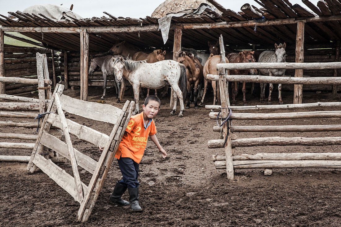 Boy closing gate of horse stable, Bunkhan, Bulgam, Mongolia