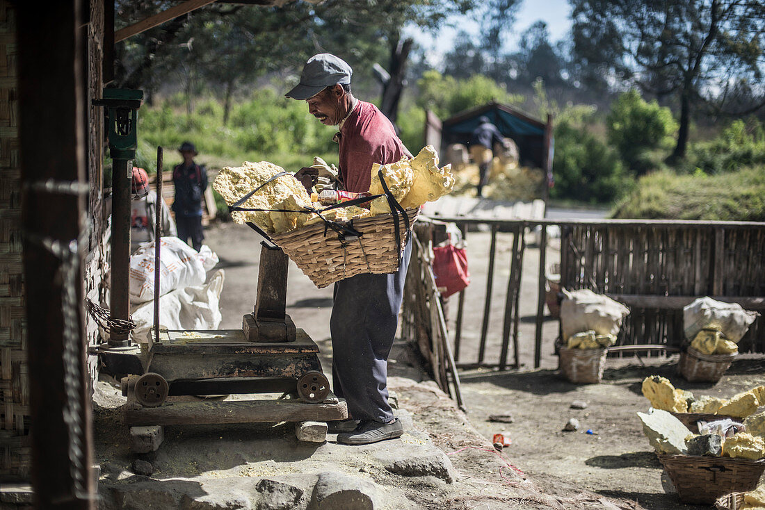 Bergmann wiegt Körbe mit Schwefelgesteinen vom Vulkan Kawah Ijen, Java, Indonesien