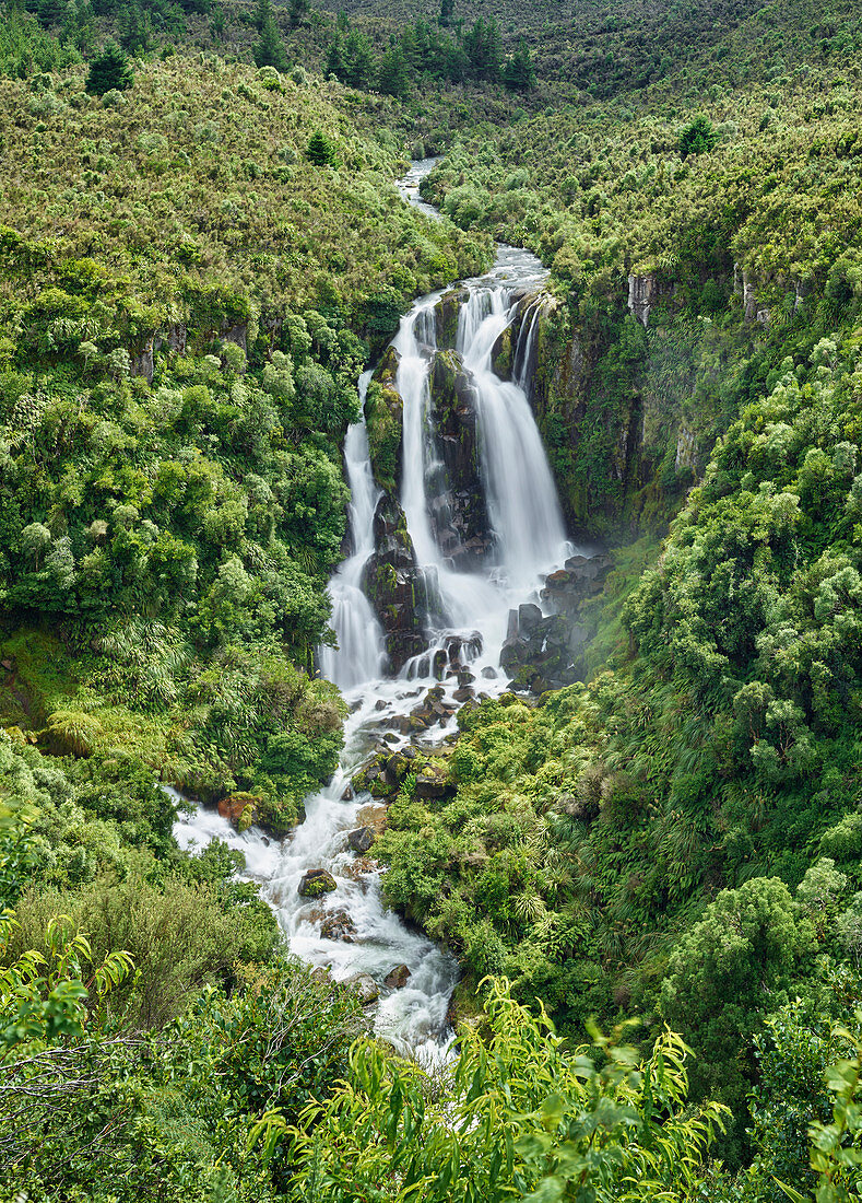Waipunga Falls, Hawke's Bay, North Island, New Zealand, Oceania