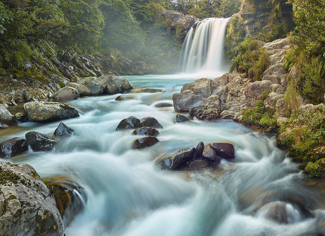 Tawhai Falls, Tongariro Nationalpark, Manawatu-Wanganui, Nordinsel, Neuseeland, Ozeanien