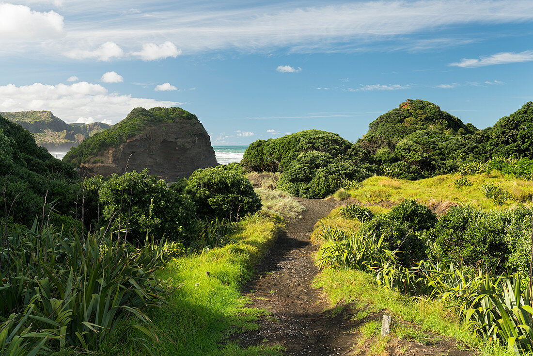 Küste bei Bethells Beach, Auckland, Nordinsel, Neuseeland