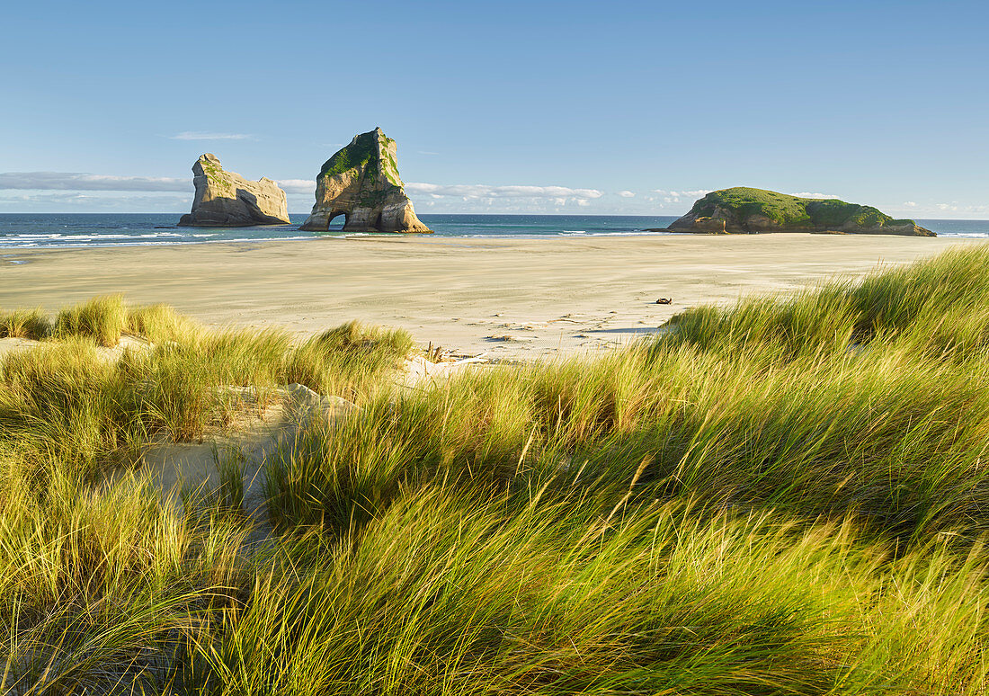 Archway Islands, Wharariki Beach, Tasman, South Island, New Zealand, Oceania