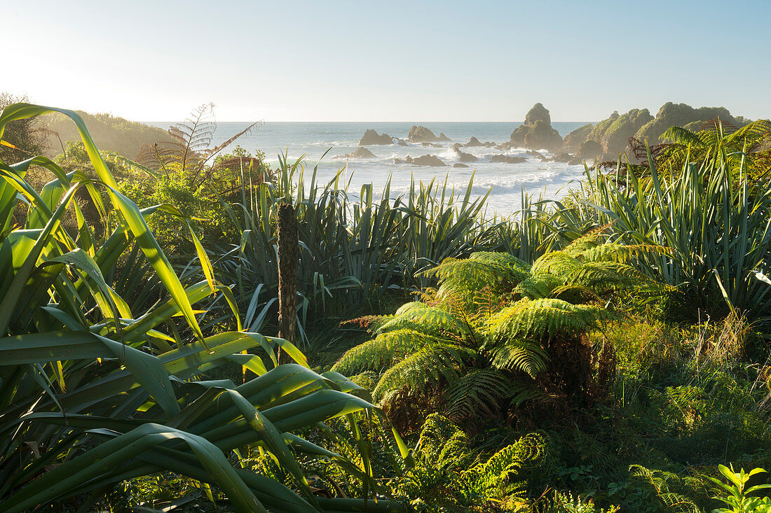Woodpecker Bay, West Coast, South Island, New Zealand, Oceania