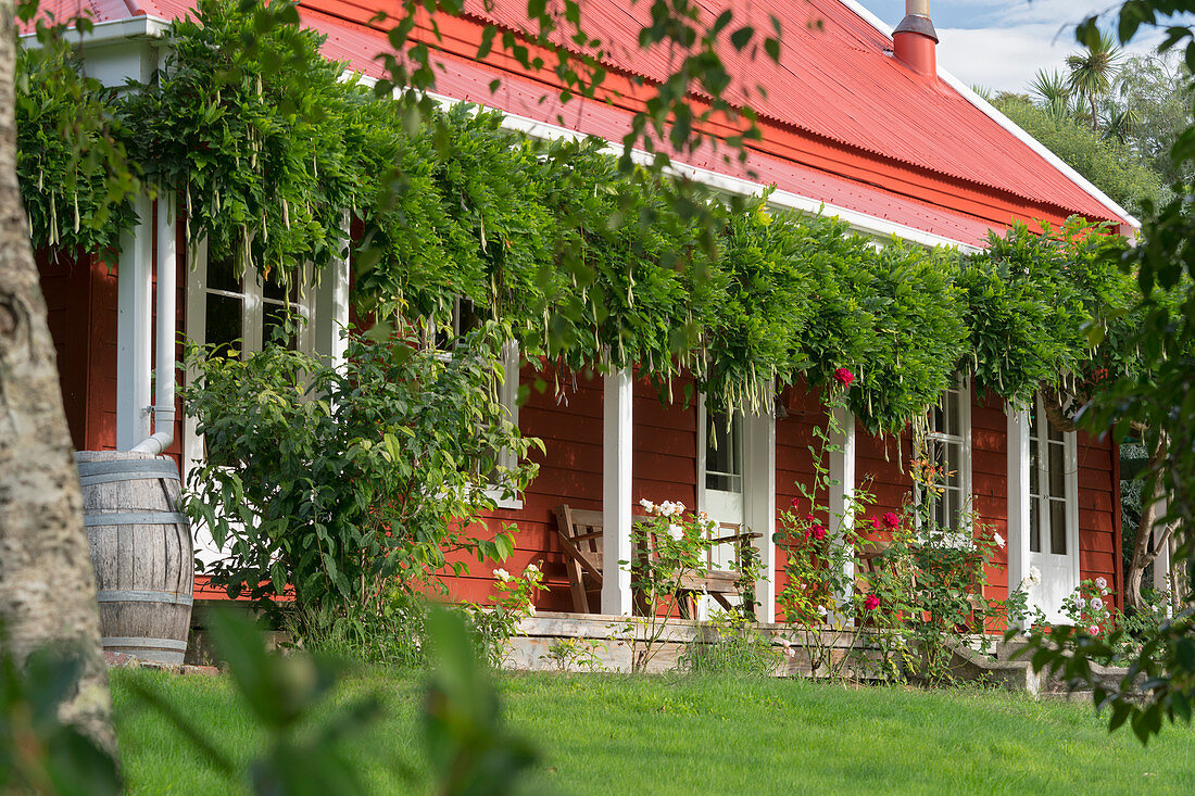 Rotes Haus in Marlborough, Südinsel, Neuseeland, Ozeanien