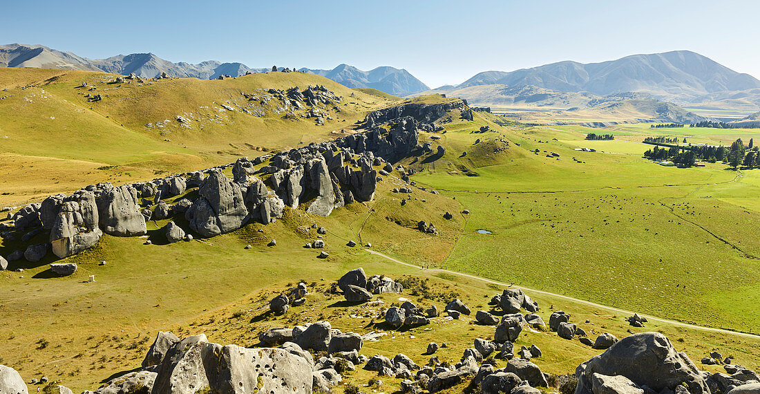 Castle Hill, Canterbury, Südinsel, Neuseeland, Ozeanien