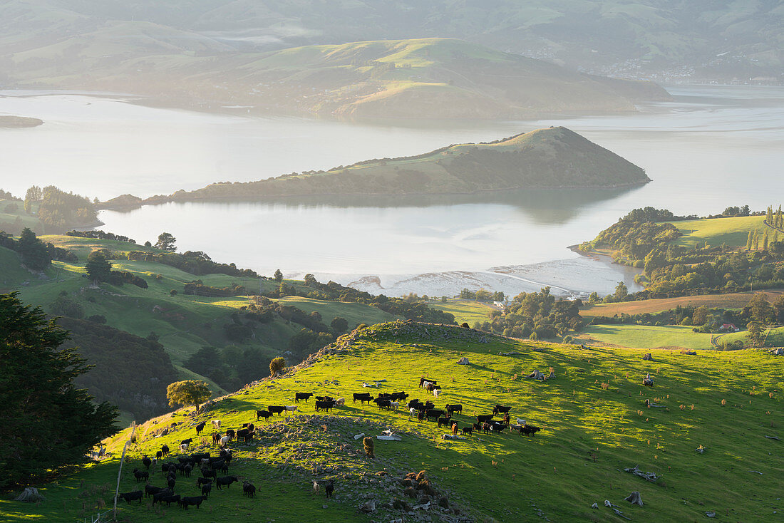 Banks Peninsula, Canterbury, Südinsel, Neuseeland, Ozeanien