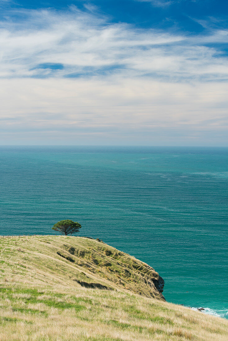 Decanter Bay, Banks Peninsula, Canterbury, Südinsel, Neuseeland, Ozeanien