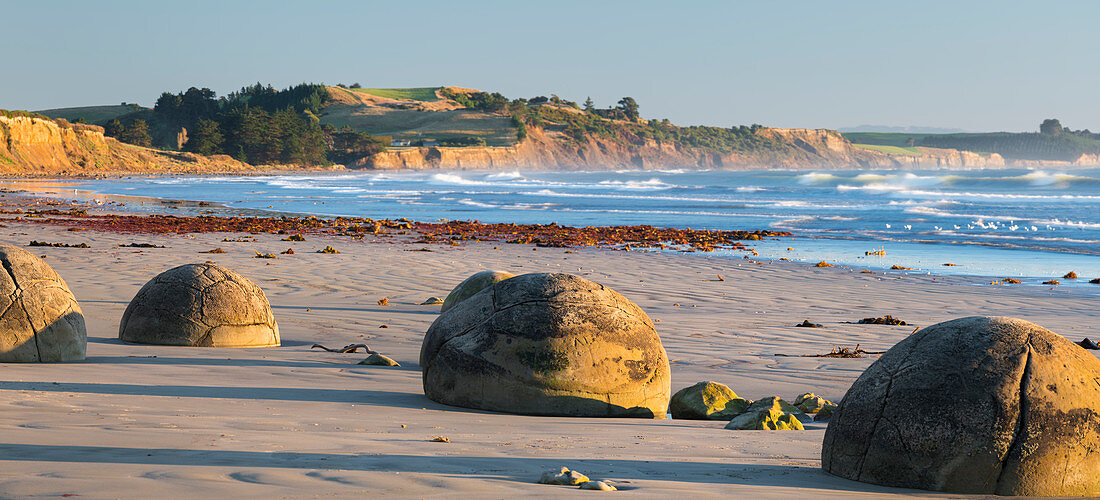 Moeraki Boulders, Otago, South Island, New Zealand, Oceania