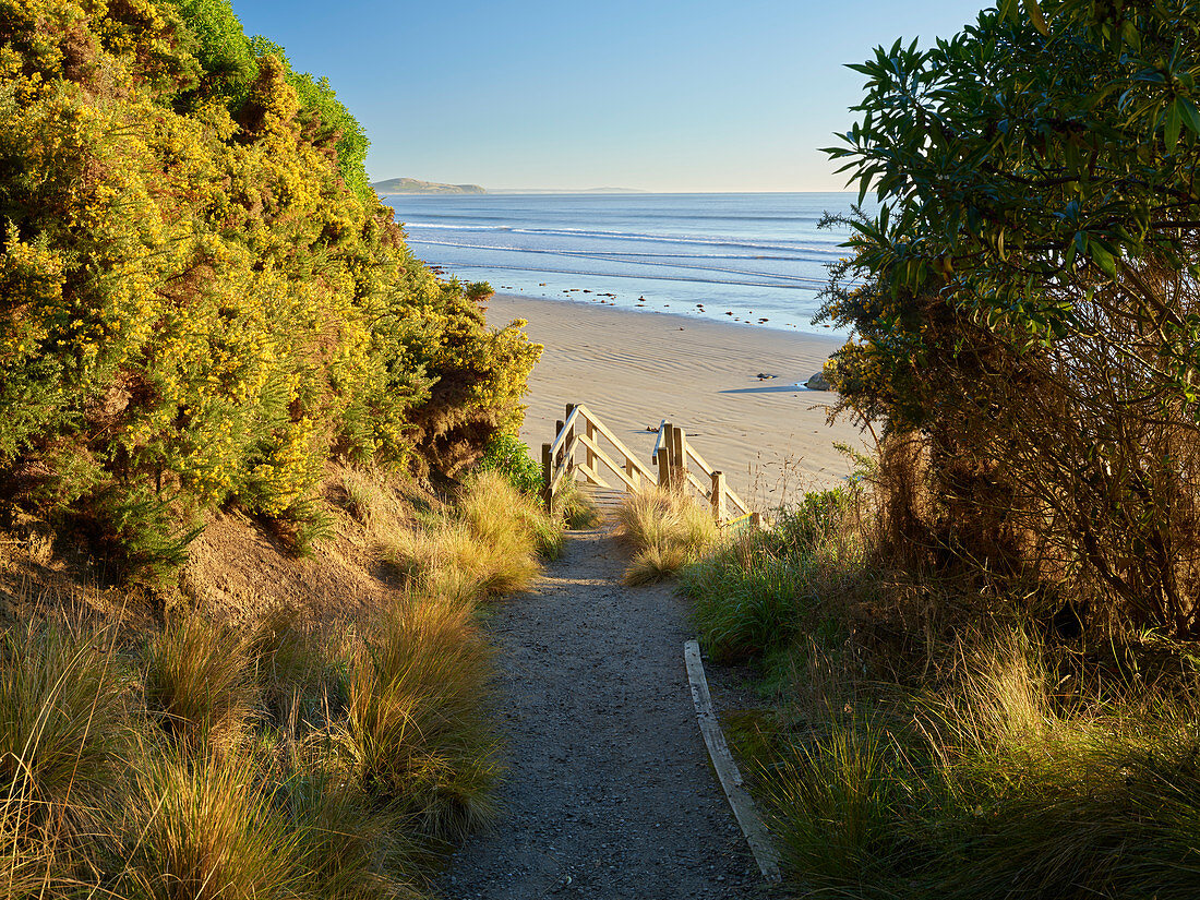 Beach access at Hampden, Otago, South Island, New Zealand, Oceania