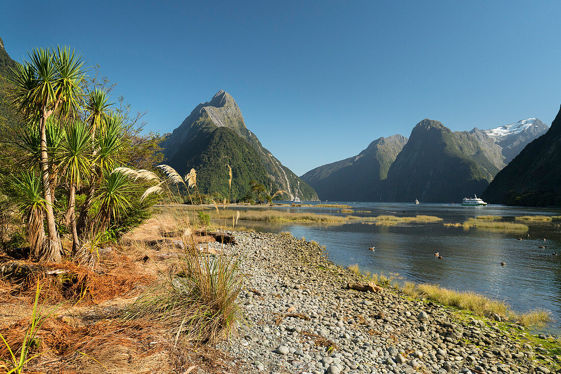 Milford Sound, Miter Peak, Fiordland National Park, Southland, South Island, New Zealand, Oceania