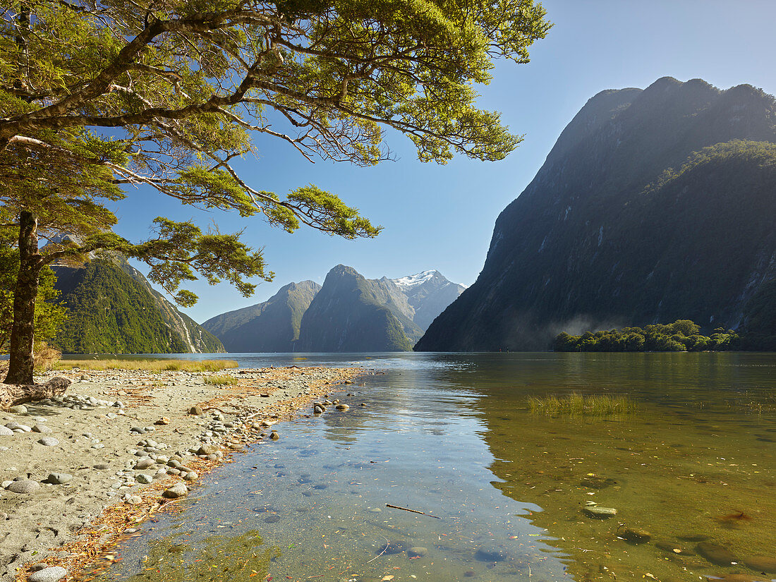Milford Sound, Fiordland National Park, Southland, South Island, New Zealand, Oceania