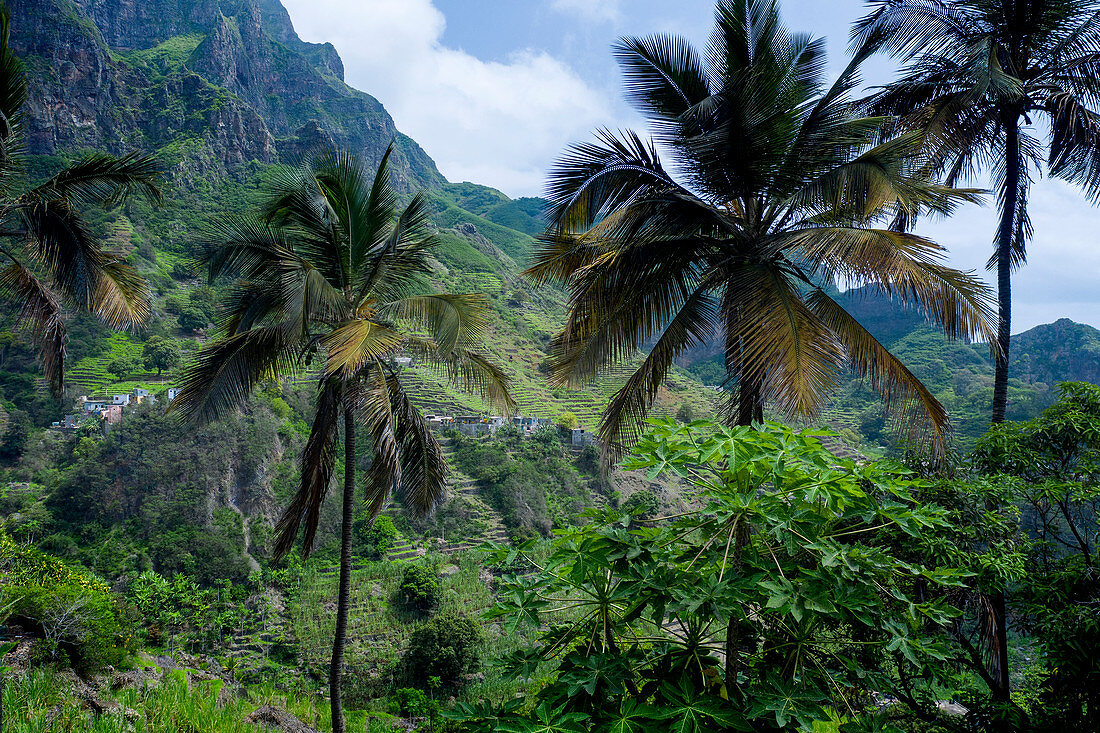 Kap Verde, bergiges Hinterland der Insel Santo Antao mit Palmen