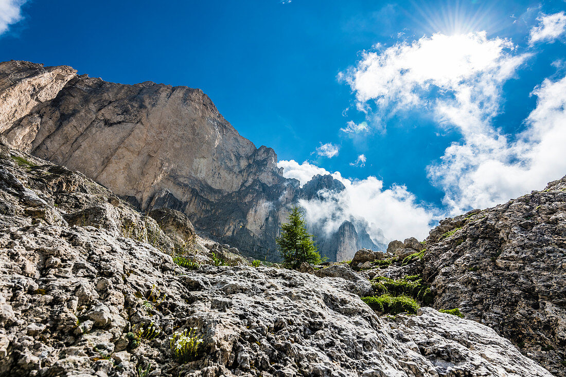 Die Südwestseite der Rotwand, Karersee,  Rosengartengruppe, Dolomiten, Trentino, Südtirol, Alto Adige, Italien