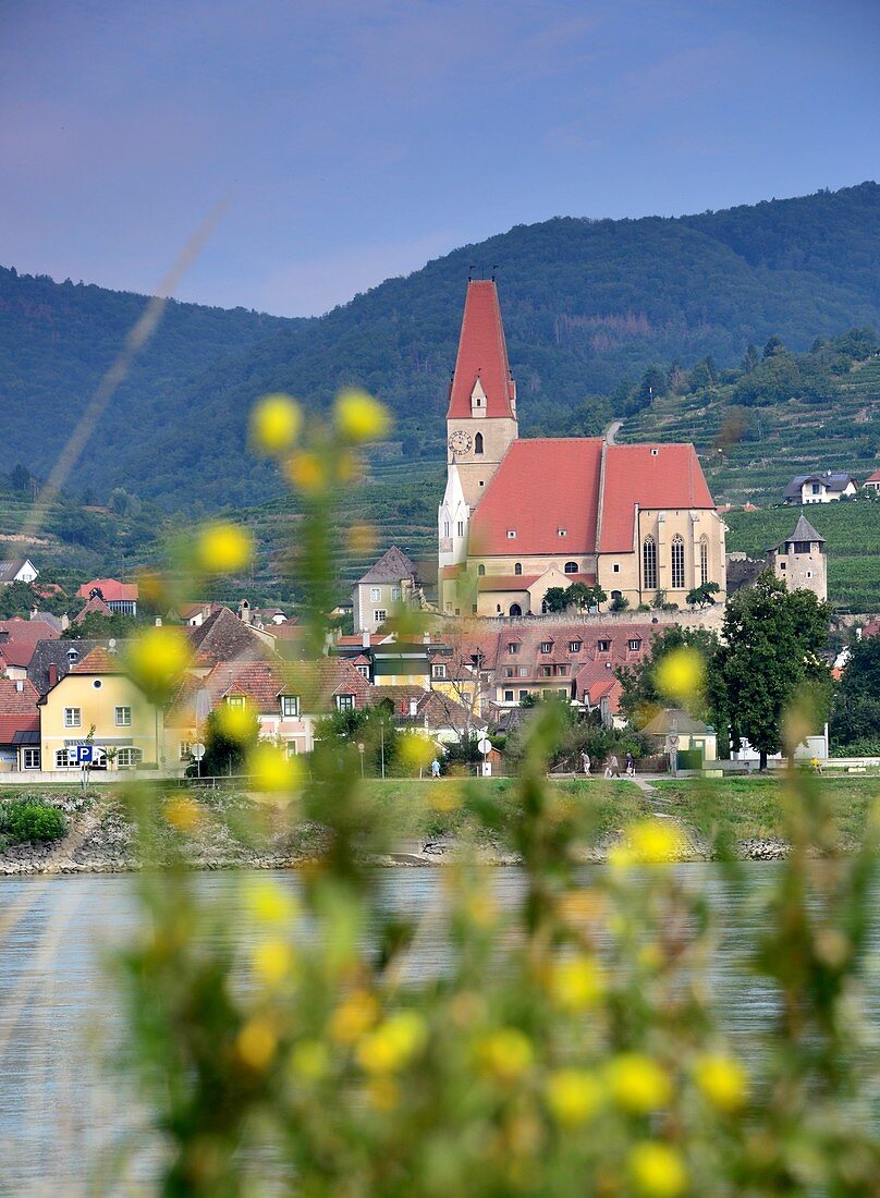 Blick auf St Michael bei Spitz an der Donau in der Wachau, Niederösterreich, Österreich