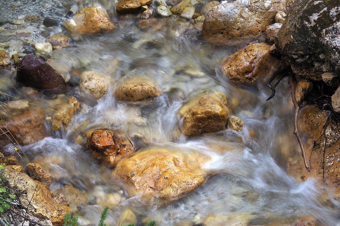 Creek near Colfosco, Alta Badia, Dolomites, South Tyrol, Italy