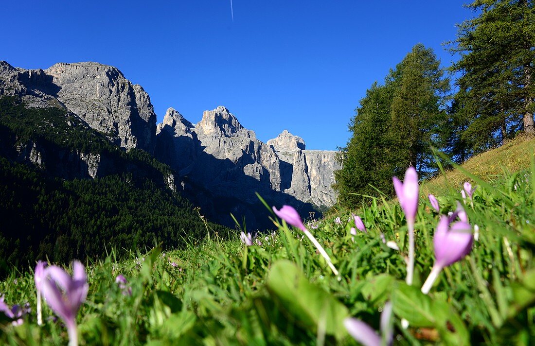 Bei Colfosco, Alta Badia, Dolomiten, Südtirol, Italien