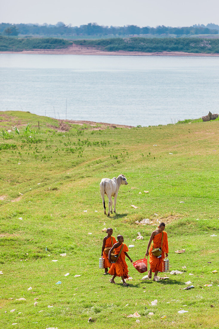 Monk boys with goat walking toward river in Cambodia, Indochina, Southeast Asia, Asia